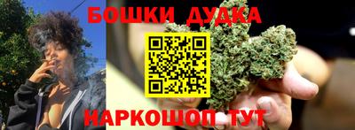 МДПВ Кингисепп