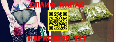 МДПВ Кингисепп