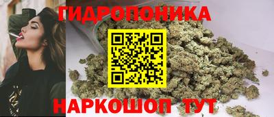 МДПВ Кингисепп