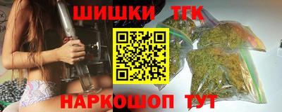 МДПВ Кингисепп