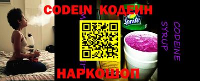 МДПВ Кингисепп