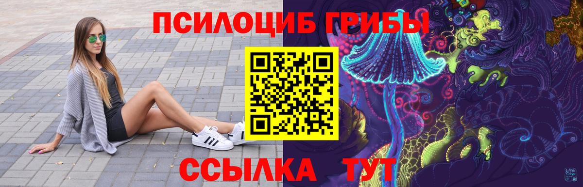 Биробиджан  Псилоцибиновые грибы MAGIC MUSHROOMS  как найти закладки  Вход с VPN 